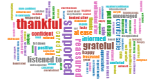 All stories about Southern Health & Social Care Trust published between 01/10/2024 and 31/12/2024: how did you feel? thumbnail