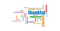 SHSCT District Nursing Service 1 November 2023 to 1 November 2024 thumbnail